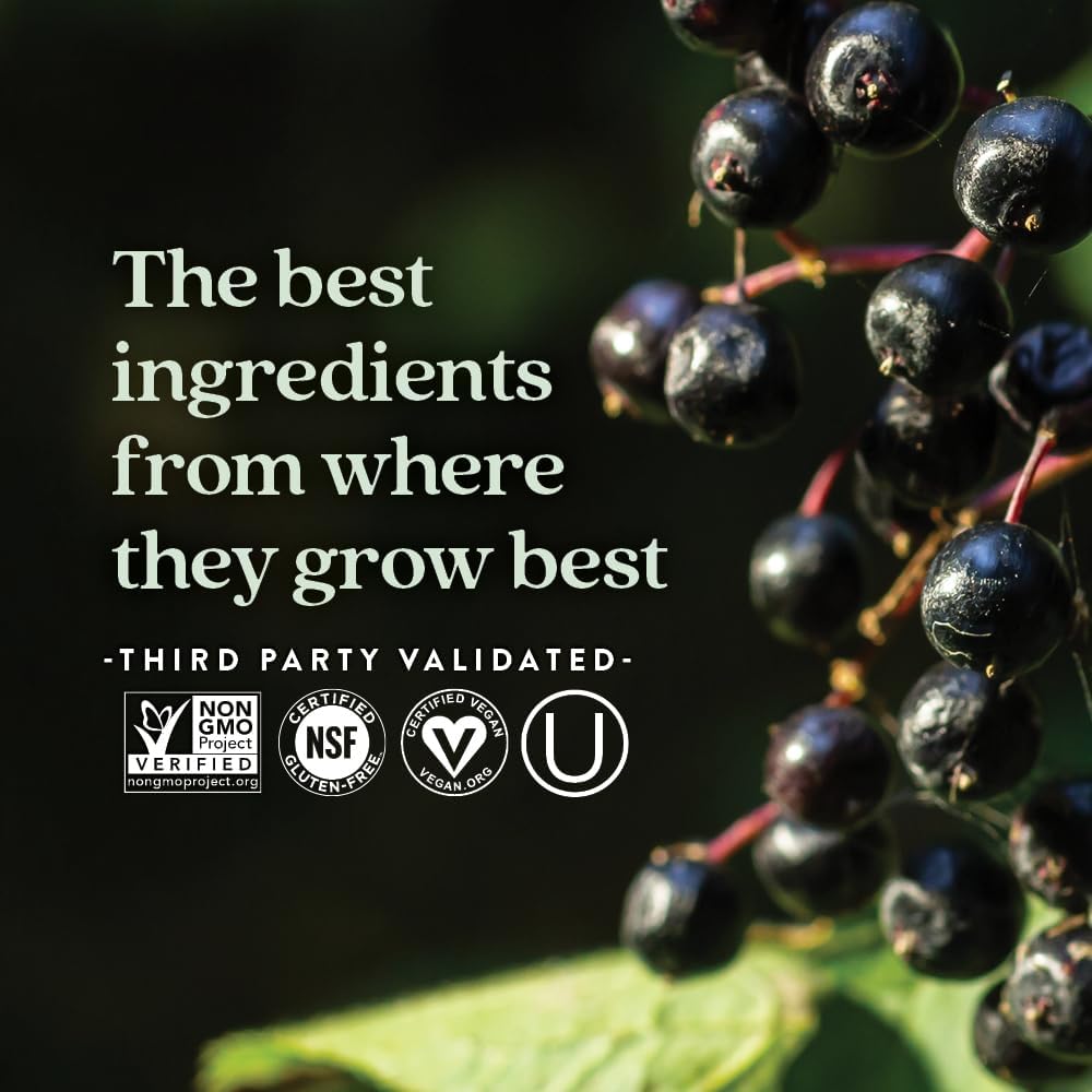 Vegan Elderberry Capsules with 64x Concentrated Black Elderberry for Immune Support - Non-GMO, Gluten Free, Vegan - 30 Count