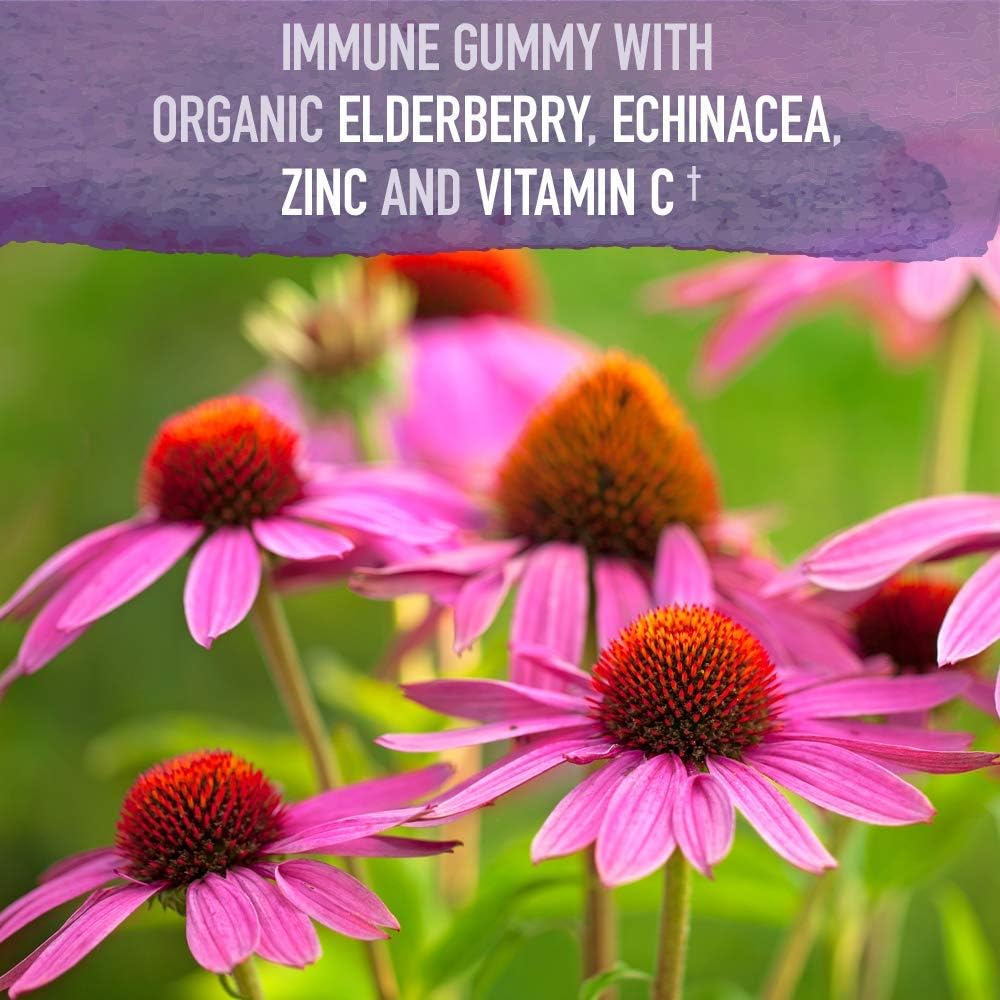 Vegan Elderberry Gummies with Grass-Fed Collagen Powder for Immune Support and Hair, Skin, Nails, and Joints - 120 Gluten-Free Gummies