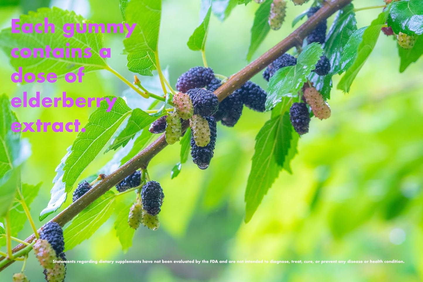 Vegan Elderberry Gummies with Vitamin C and Zinc - Made in USA, Non-GMO, Gluten-Free - 60 Gummies, 197mg Per Serving