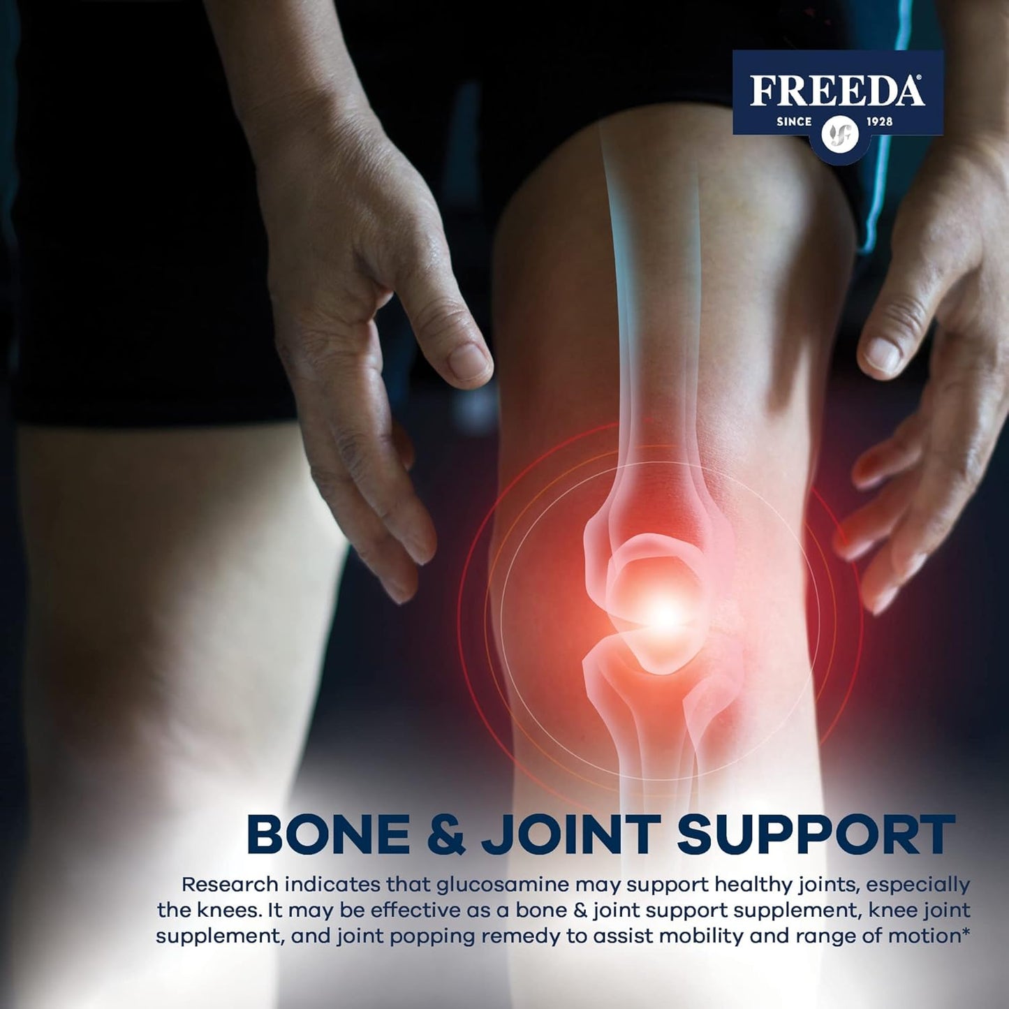 Vegan Glucosamine MSM Supplement for Bone & Joint Health - Vegetarian Formula Without Shellfish - Mobility Support (250 Capsules)