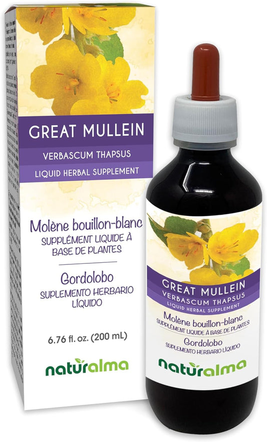 Vegan Great Mullein (Verbascum thapsus) Flower and Leaf Tincture - 6.76 fl oz Alcohol-Free Liquid Extract Drops - Herbal Supplement