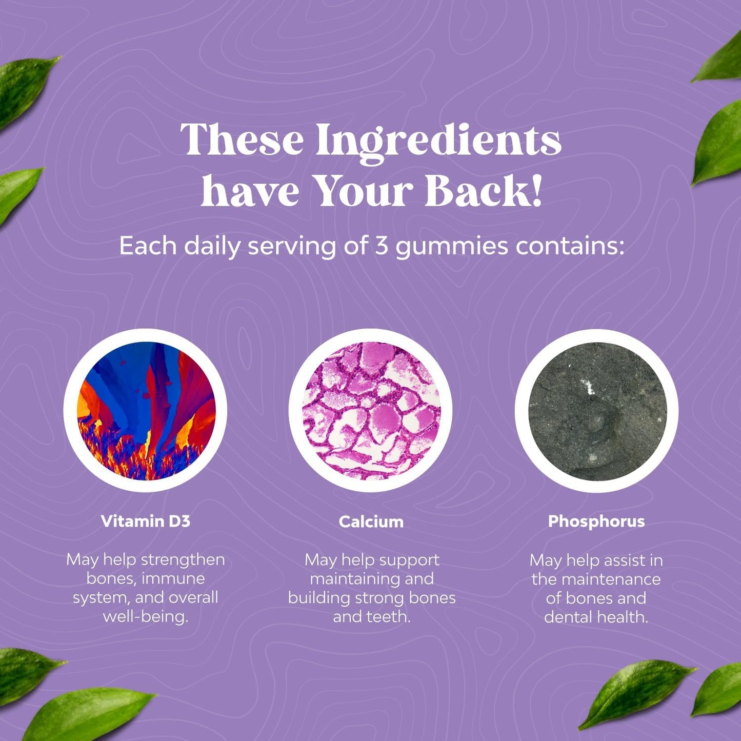 Vegan Gummy Bundle: Magnesium Citrate & Calcium Gummies for Women - Non GMO Vitamin D Supplement for Bone & Immune Support
