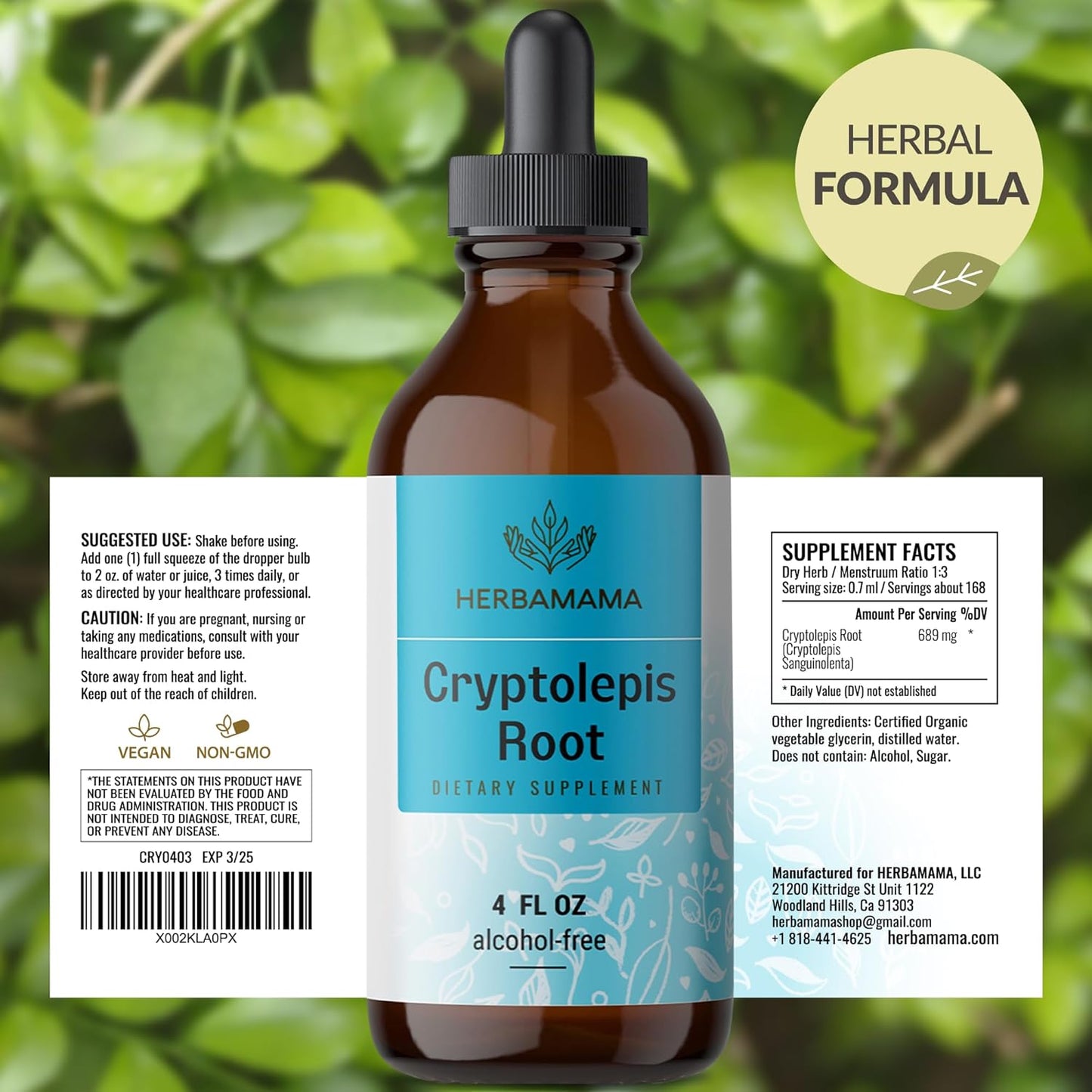 Vegan HERBAMAMA Cryptolepis Tincture: Immune Support & Detox - Non-GMO, Alcohol & Sugar-Free 56-Day Supply