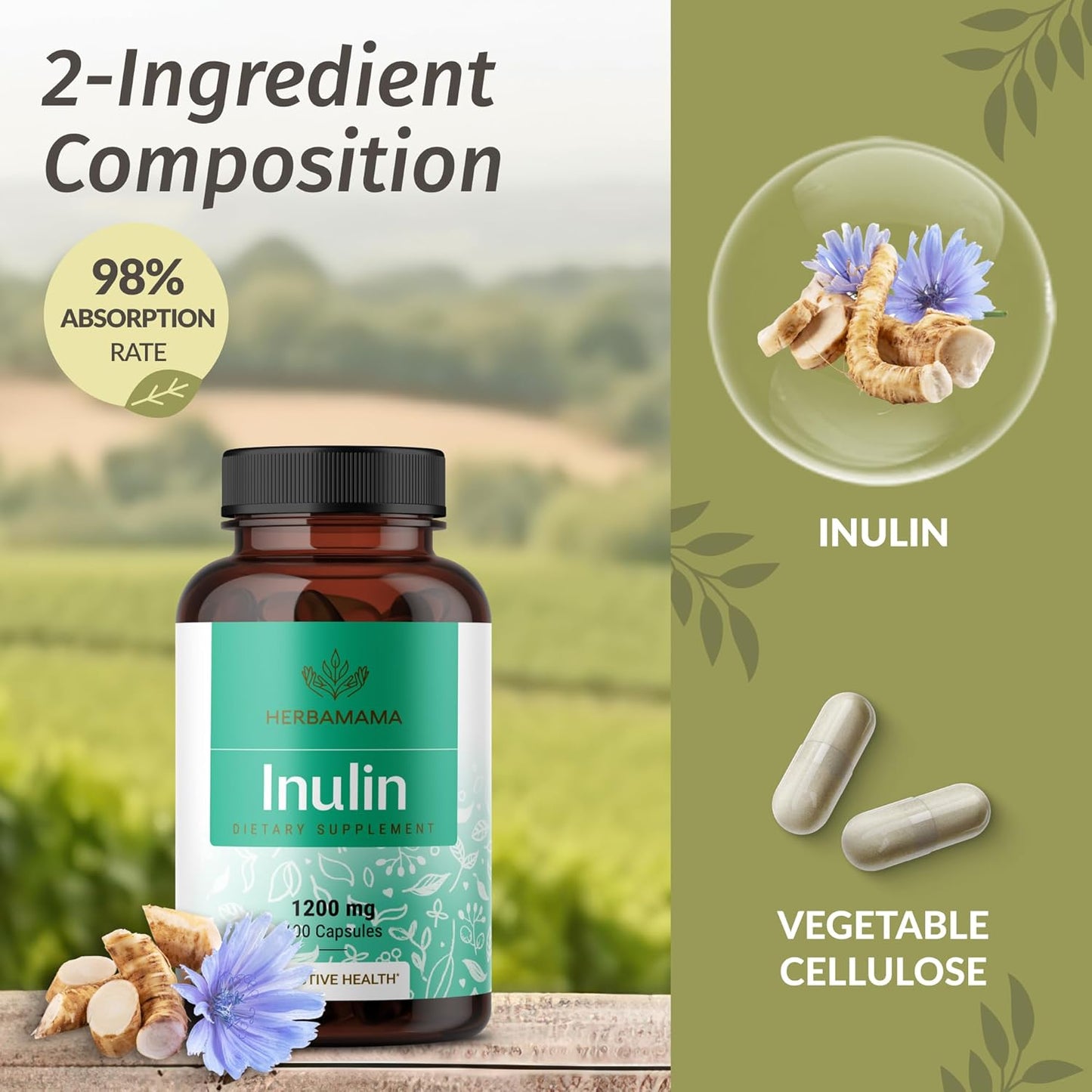 Vegan Inulin Fiber Capsules and Magnesium Citrate Gummies Bundle - 2 Pack - Non-GMO, Gelatin-Free - HERBAMAMA Kit