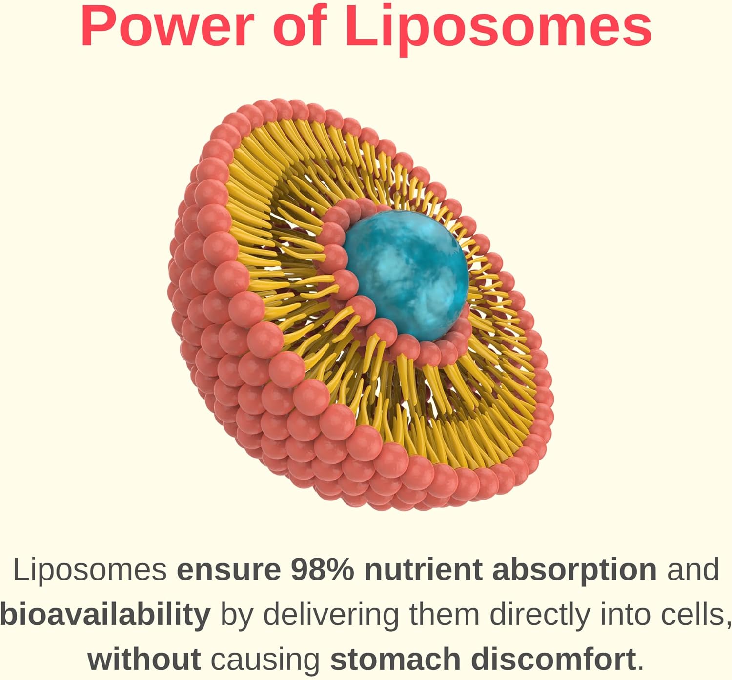 Vegan Liposomal Liquid Collagen Booster Drops for Healthy Hair, Skin, and Nails | Non-GMO, Sugar-Free, Gluten-Free Formula | Easy Application