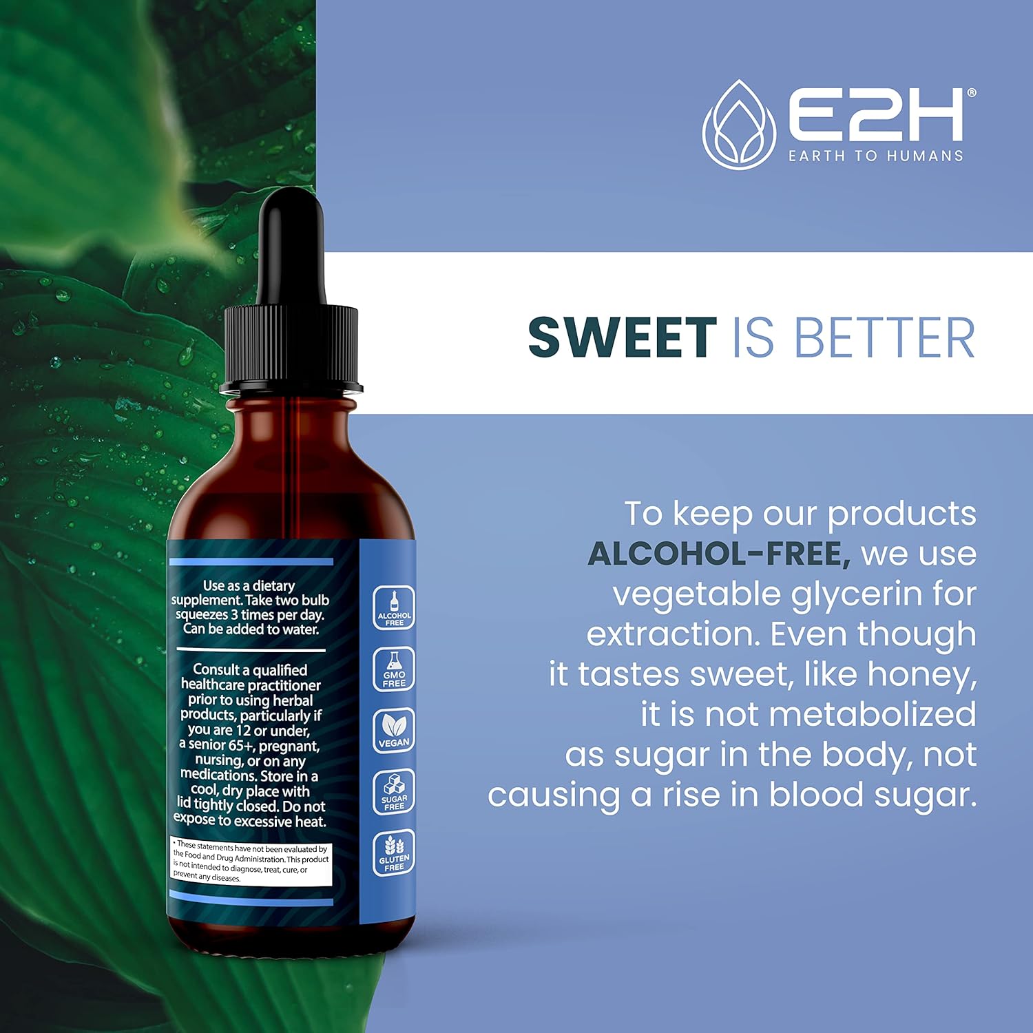 Vegan Liquid Chlorophyll & Black Currant Extract Bundle - E2H Earth to Humans - 4 Fl Oz Total - Non-GMO