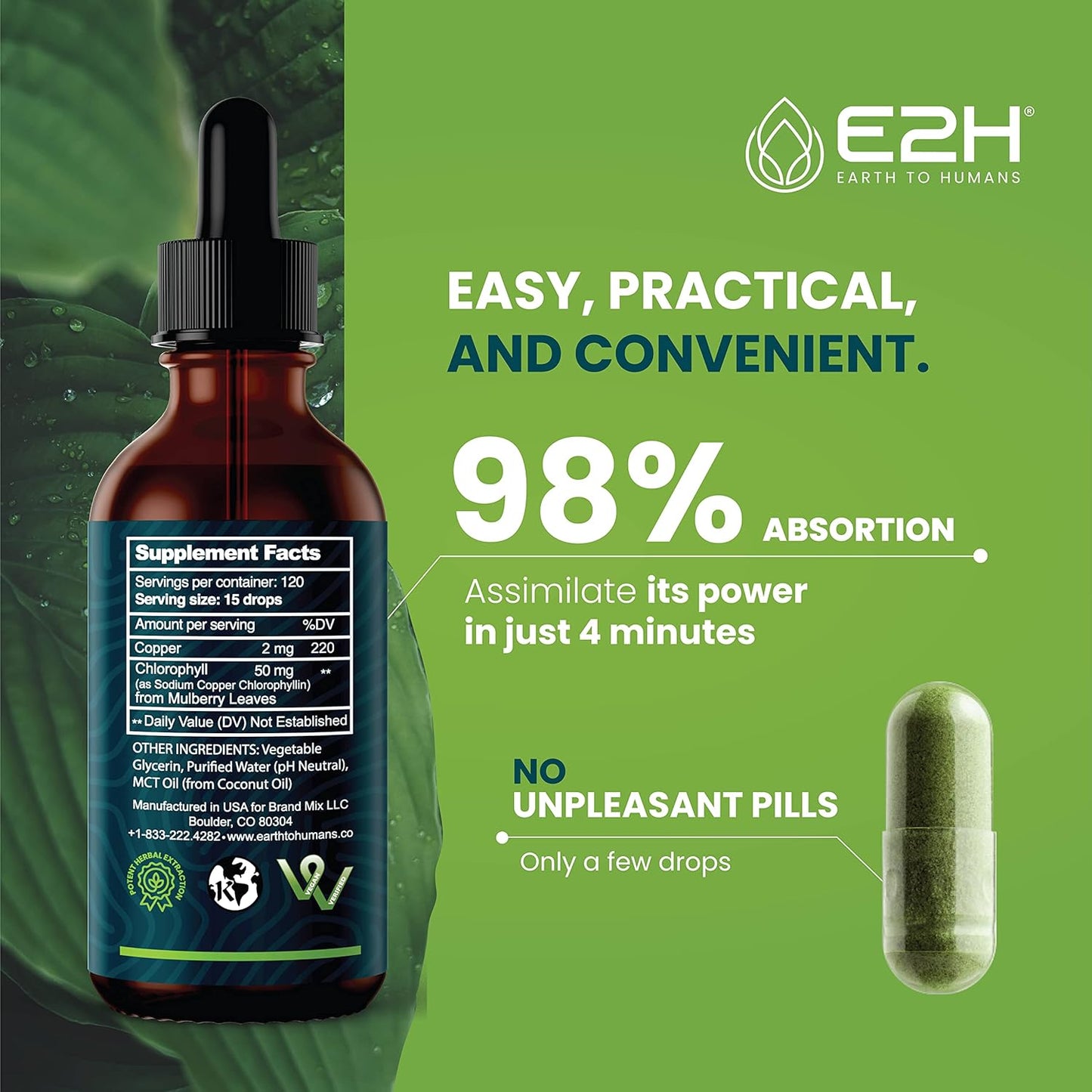 Vegan Liquid Chlorophyll & Black Currant Extract Bundle - E2H Earth to Humans - 4 Fl Oz Total - Non-GMO