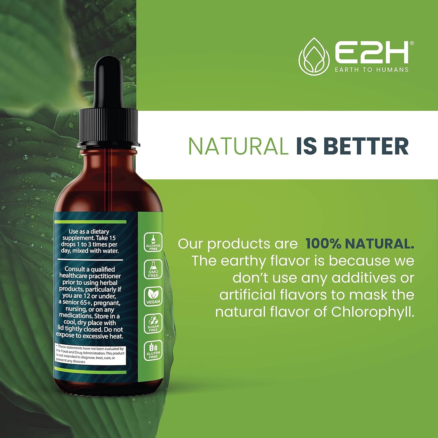 Vegan Liquid Chlorophyll & Black Currant Extract Bundle - E2H Earth to Humans - 4 Fl Oz Total - Non-GMO