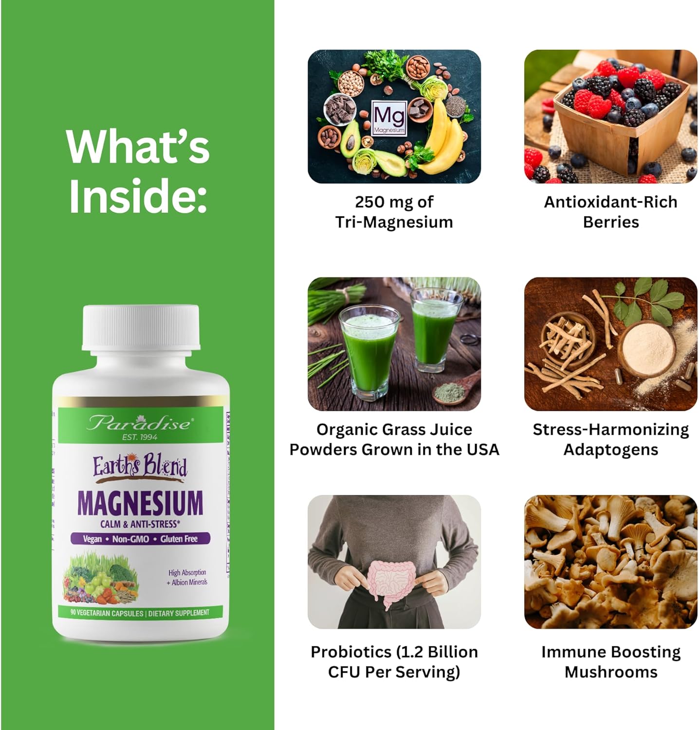 Vegan Magnesium Supplement for Stress Relief, Sleep, Heart Health - 90 Vegetarian Capsules by Paradise Herbs