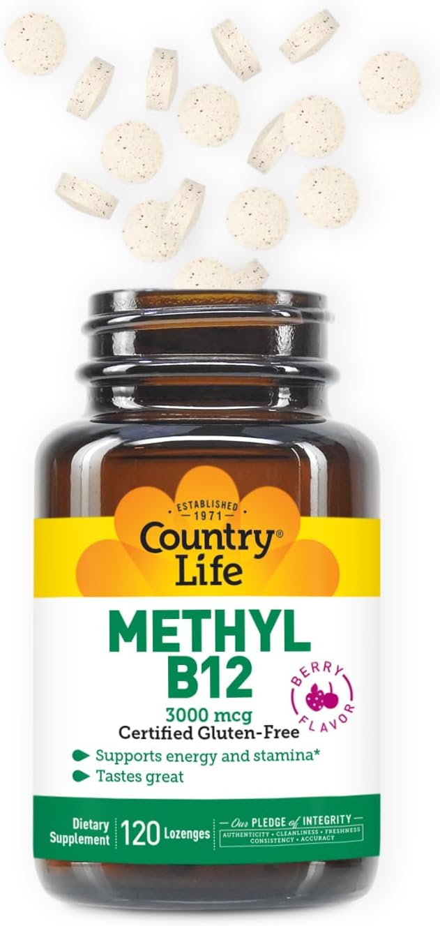 Vegan Methyl B-12 3000 mcg Lozenges for Energy Support - 120 Count