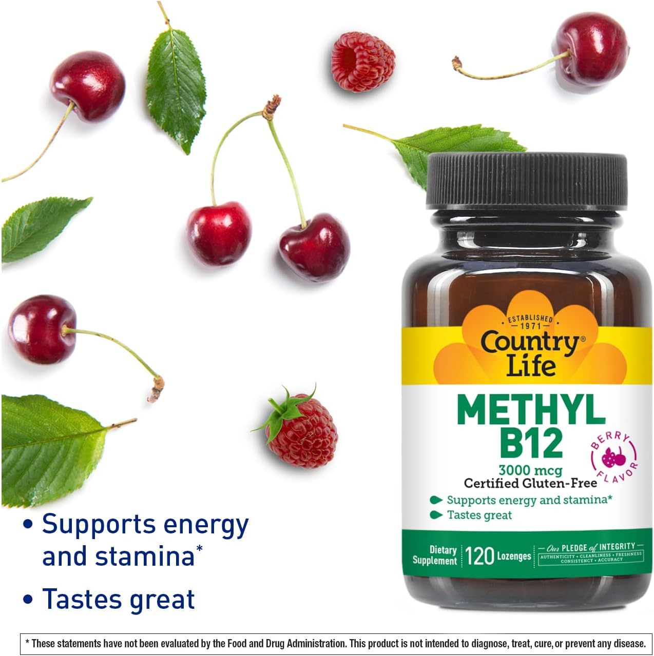 Vegan Methyl B-12 3000 mcg Lozenges for Energy Support - 120 Count