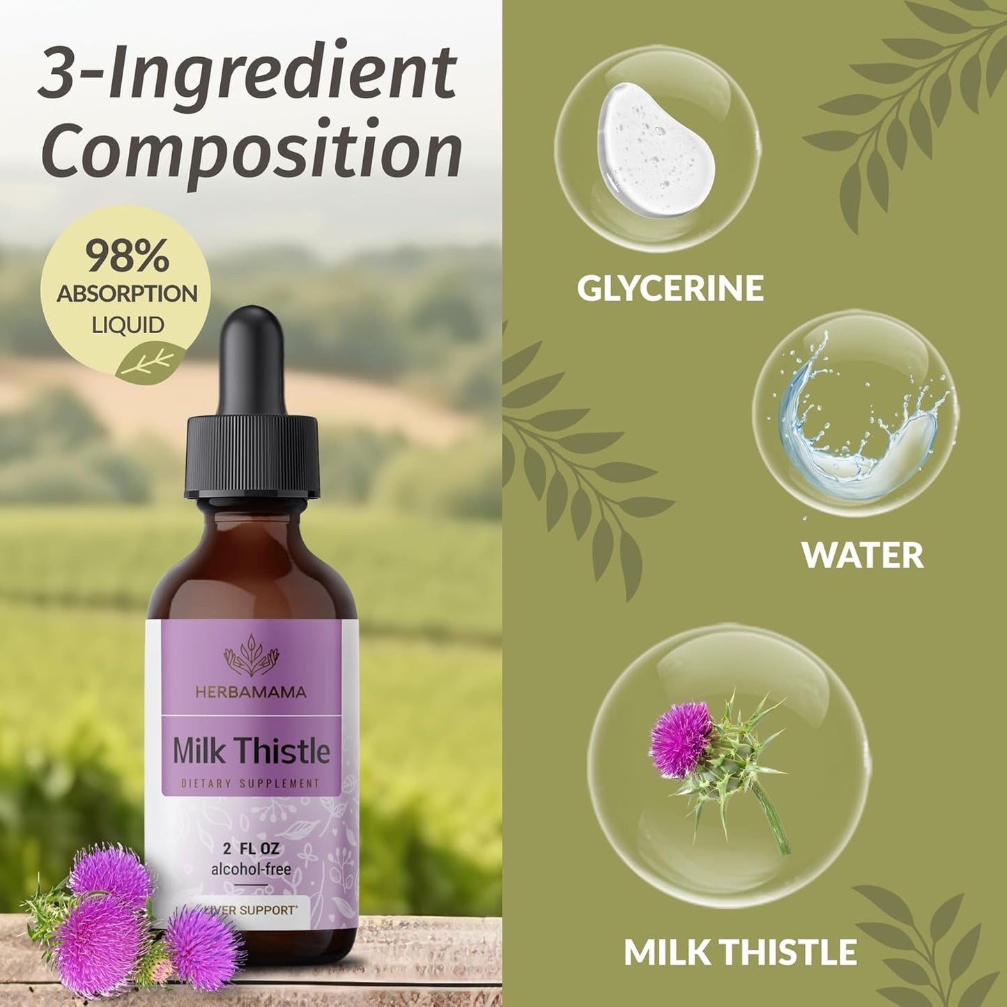 Vegan Milk Thistle Drops for Liver Support - Non-GMO Liver Detox Tincture - Alcohol & Sugar-Free Cleanse Supplement, 28-Day Supply - BoostGo Australia