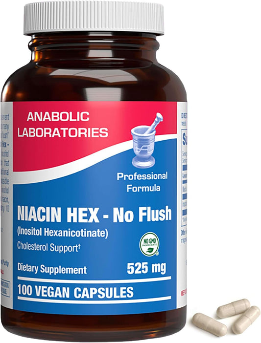 Vegan Niacinamide Supplement - 100 Capsules, 500mg Non-Flushing Niacin for Cholesterol Support