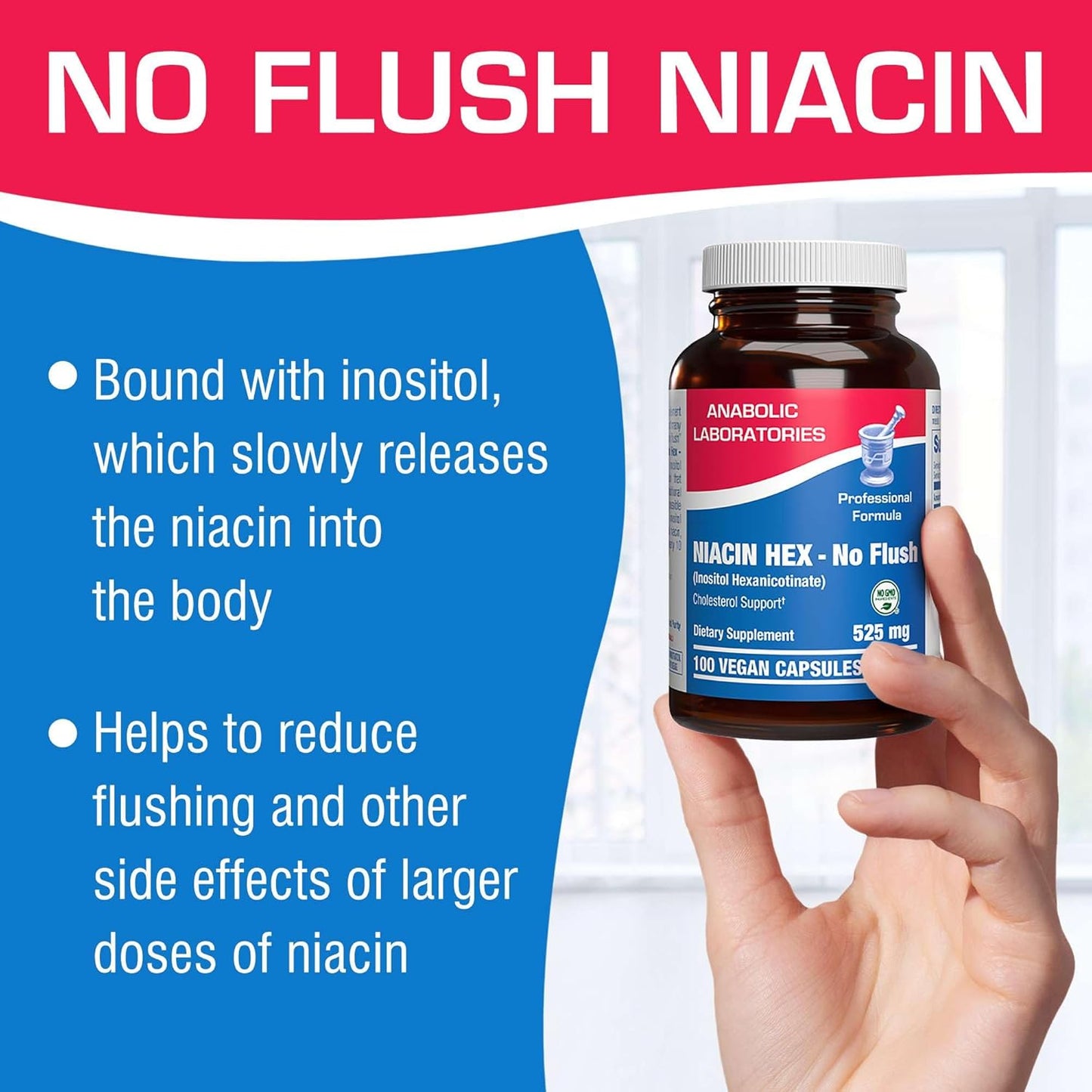 Vegan Niacinamide Supplement - 100 Capsules, 500mg Non-Flushing Niacin for Cholesterol Support