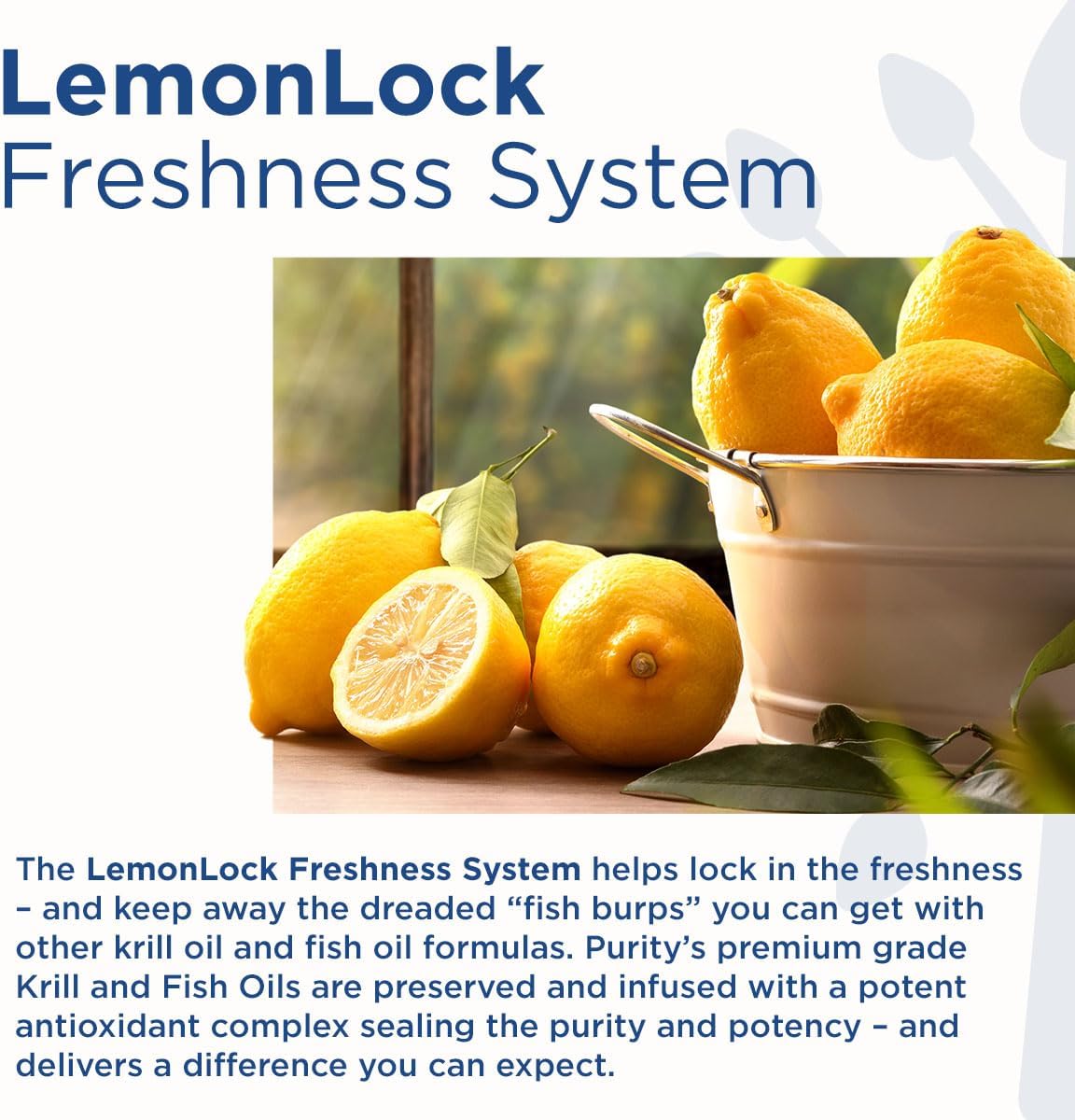 Vegan Omega 3-6-9 Bundle with Collagen Builder - Plant-Based Essential Fatty Acids + Key Ingredients for Vegan Collagen Production (180 ct)