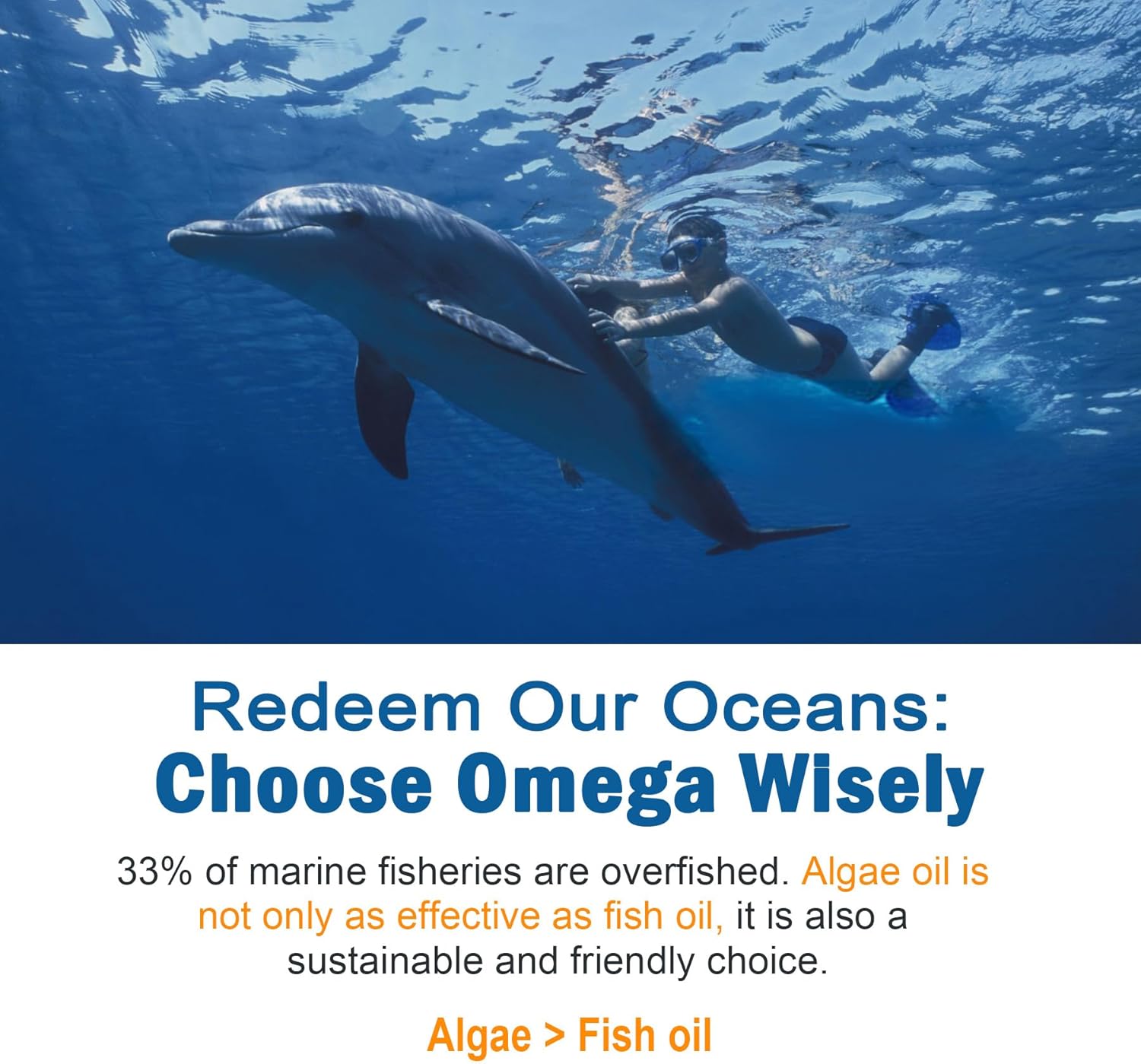 Vegan Omega-3 and Vitamin B Complex Gummies - LILICARE 1280mg Formula