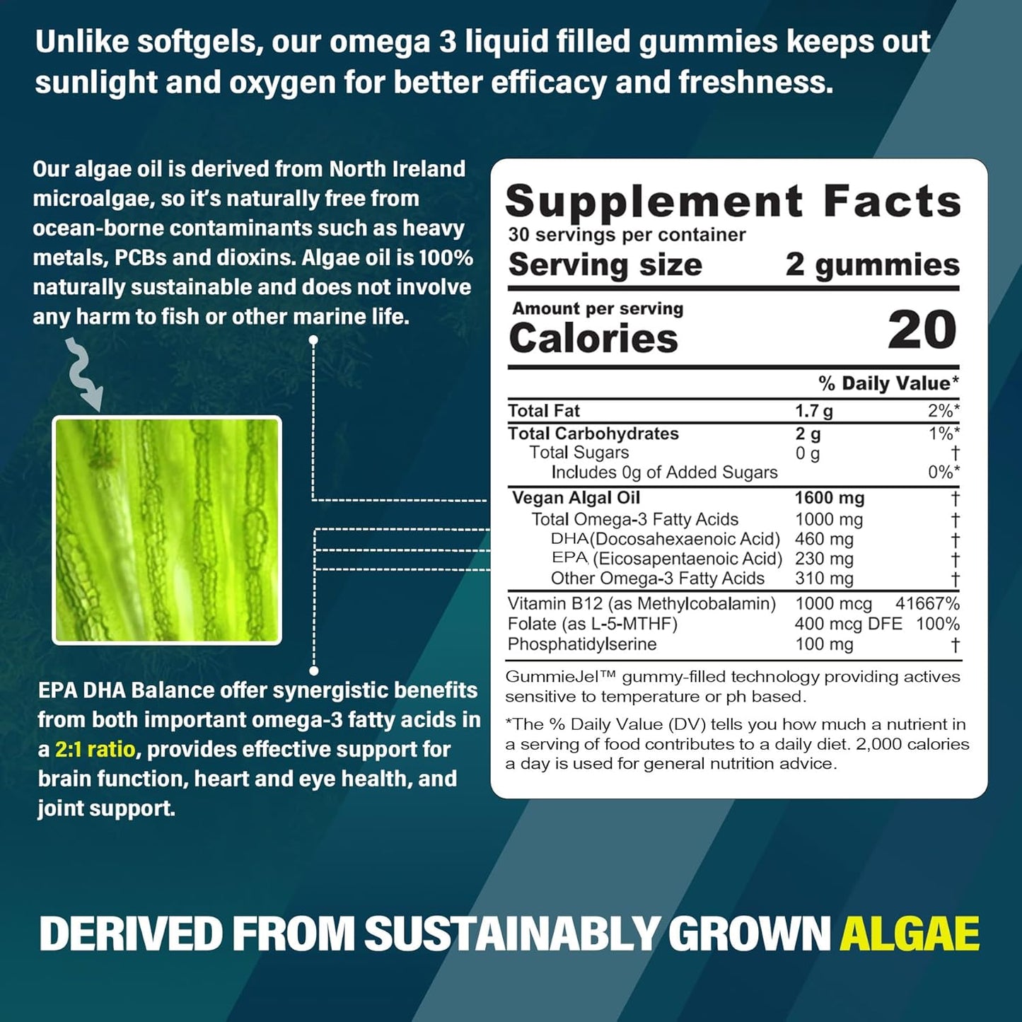 Vegan Omega 3 Gummies 1000mg with NEVISS Vitamin D3 5000IU + K2 (MK-7) 120mcg - 2-in-1 Supplement Pack