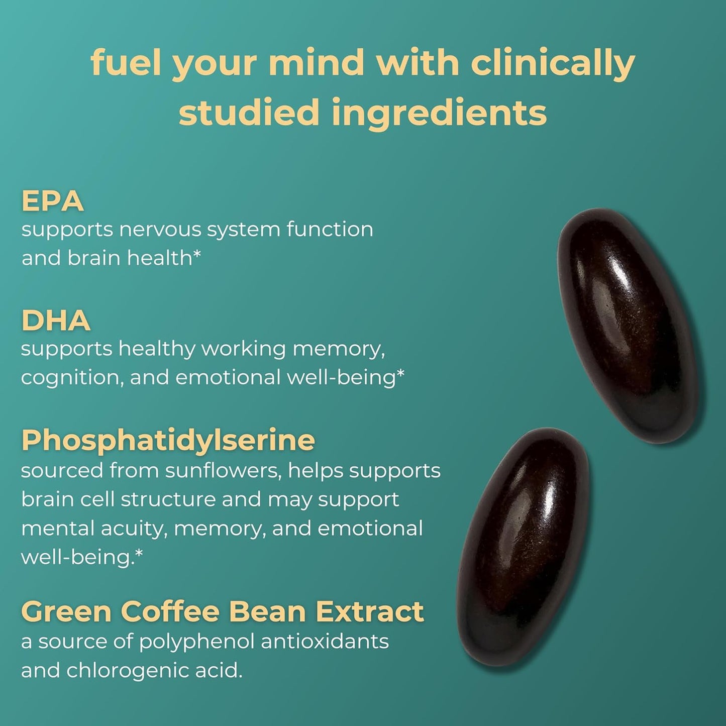 Vegan Plant-Based Algae Omega-3 for Focus, Memory, and Mood Support - 120 Softgels, EPA + DHA, No Fishy Aftertaste