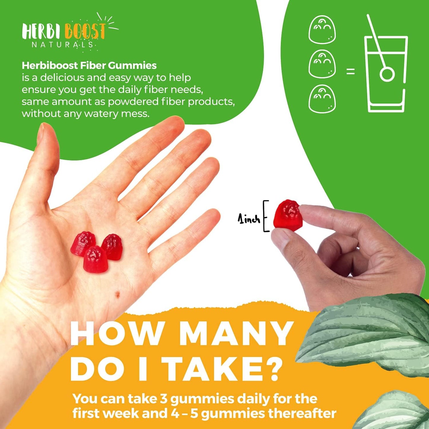 Vegan Prebiotic Fiber Gummies for Adults & Kids - Digestion Support & Bloating Relief with Chicory Root Enzymes