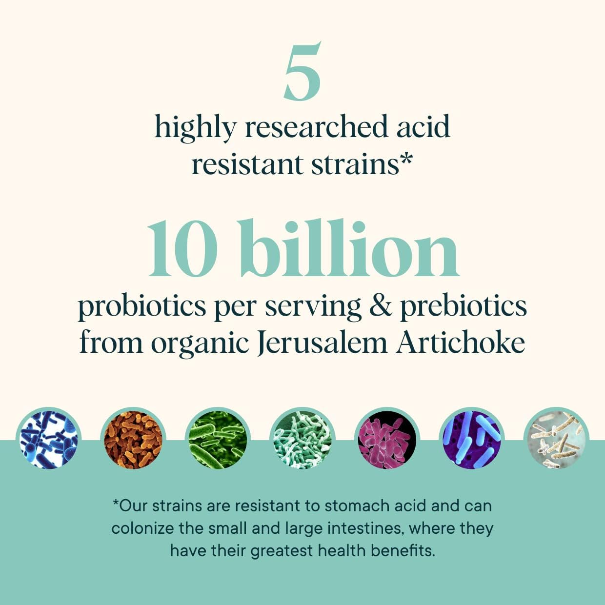 Vegan Probiotic Pixies with Prebiotics for Digestive Health - Dairy-Free & Gluten-Free, No Sugar - 30 Fast Dissolving Powder Sticks - BoostGo Australia