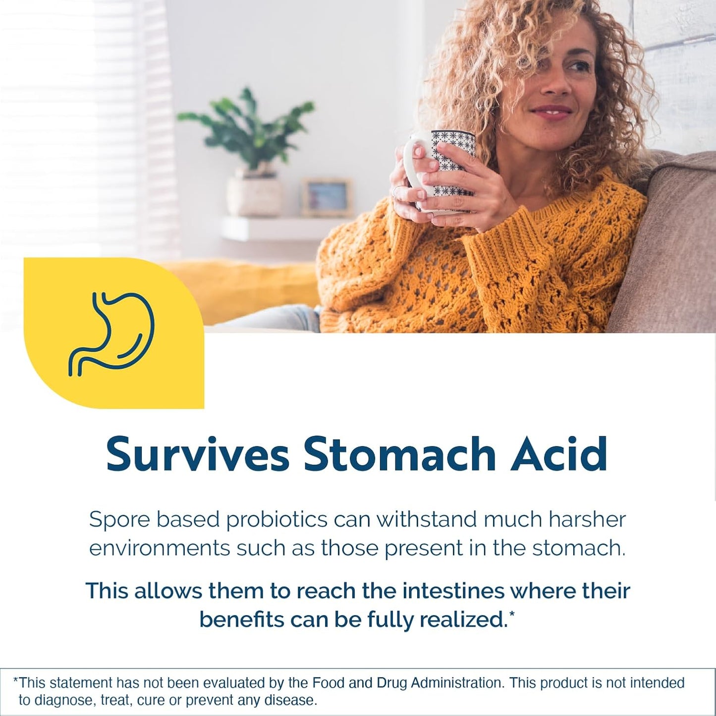 Vegan Probiotic Supplement for Low FODMAP Diet - Supports Gut Health & Microbiome - Researched Strains - 60 Capsules