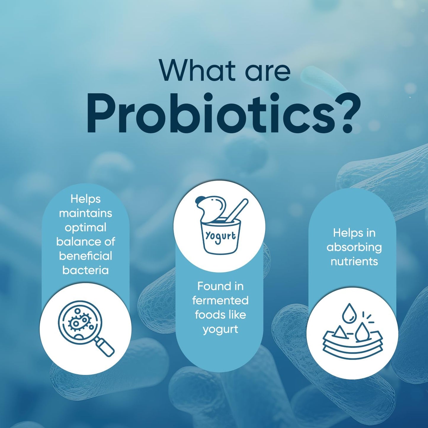 Vegan Probiotics for Women & Men - 50 Billion CFU - 13 Unique Strains - Inulin & Fructooligosaccharide - Digestive & Immune Support - 2 Months Supply