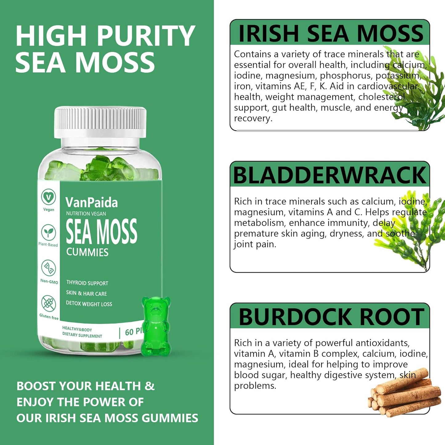 Vegan Sea Moss Gummies with Bladderwrack & Burdock Root for Immune & Joint Support - BoostGo Australia