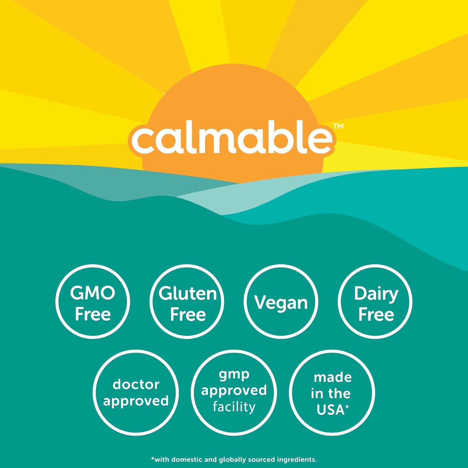 Vegan Stress Relief Aid for Teens with Pyridoxine B6 and L-Theanine - 60 Capsules