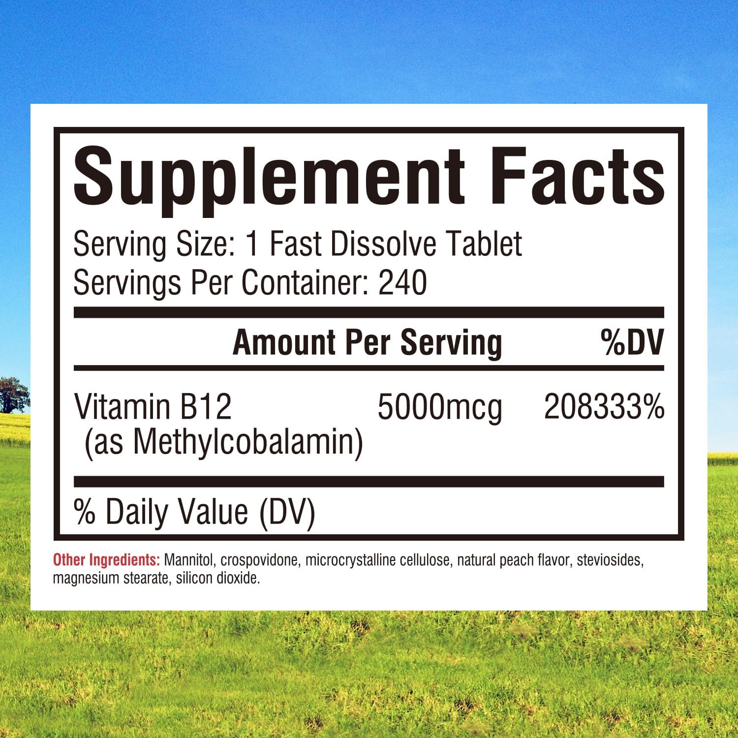 Vegan Sublingual Vitamin B12 5000mcg Tablets, Peach Flavor, Supports Energy & Nervous System, 240 Fast Dissolve Tablets