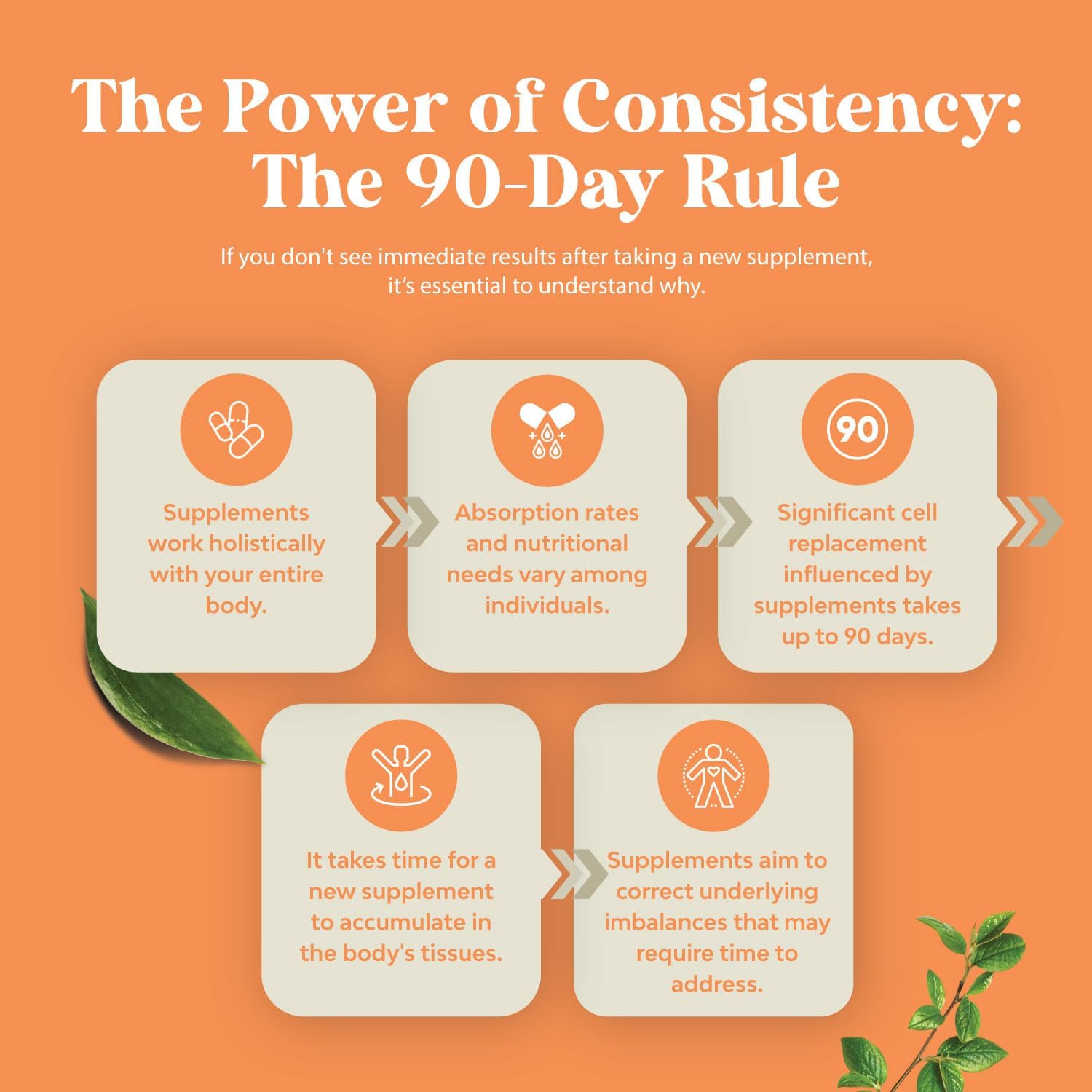 Vegan Thyroid Support Gummies with Sea Moss - 90 Gelatin-Free Non-GMO Gummies with Iodine, Selenium, and Vitamins for Men and Women