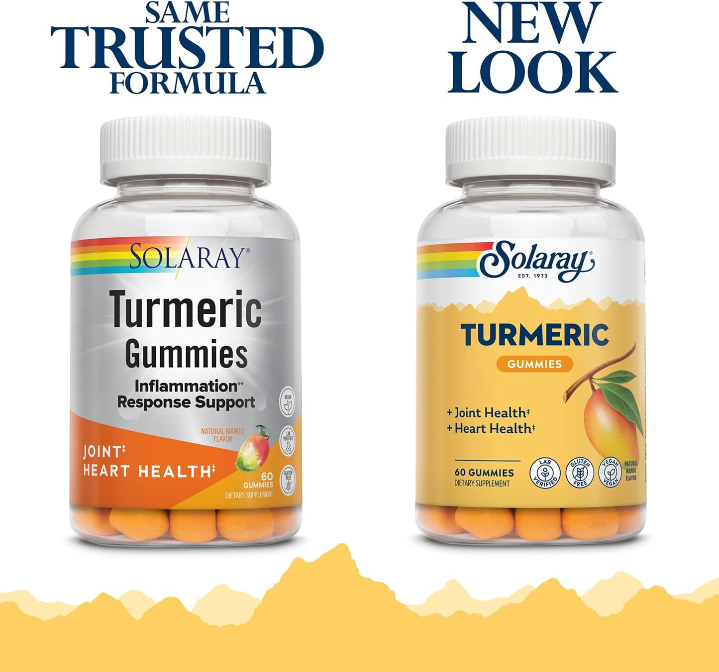 Vegan Turmeric Gummies with Ginger for Heart Health & Inflammation | Gluten Free | 60 Count, 30 Servings