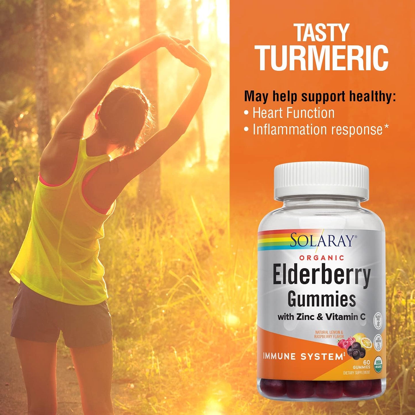 Vegan Turmeric Gummies with Ginger for Heart Health & Inflammation | Gluten Free | 60 Count, 30 Servings
