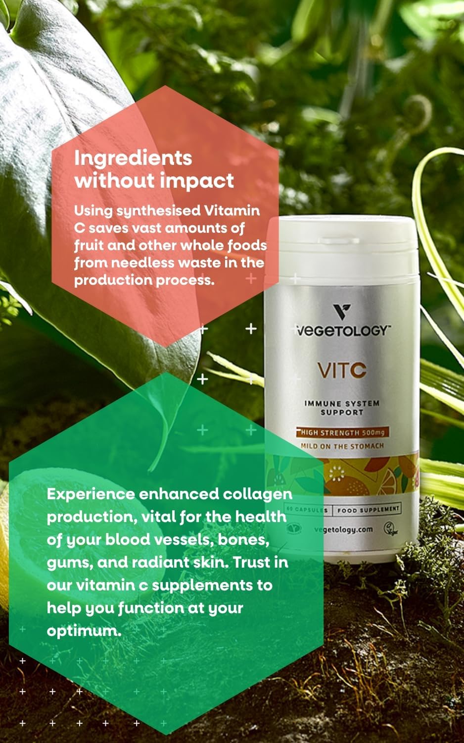 Vegan Vitamin C with Citrus Bioflavonoids - 500mg Capsules for Daily Antioxidant Support - 60 Count