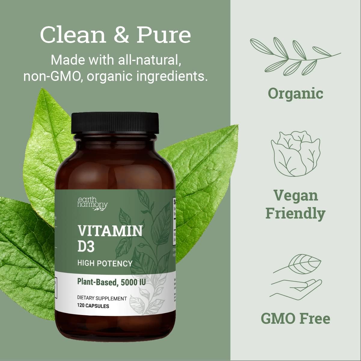Vegan Vitamin D3 & Beet Root Powder Capsules - 120 Count - Earth Harmony Naturals