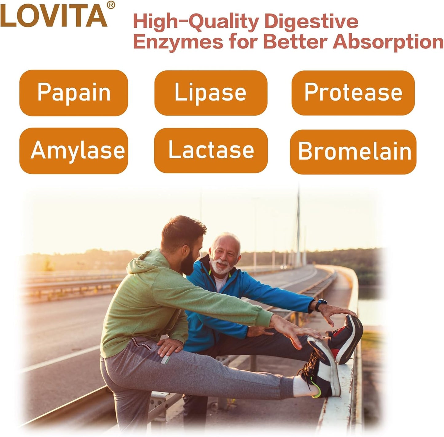 Vegetarian Adults 30+ Nutrients Bundle: Lovita Cold-Pressed Flaxseed Oil & Premium Multivitamin