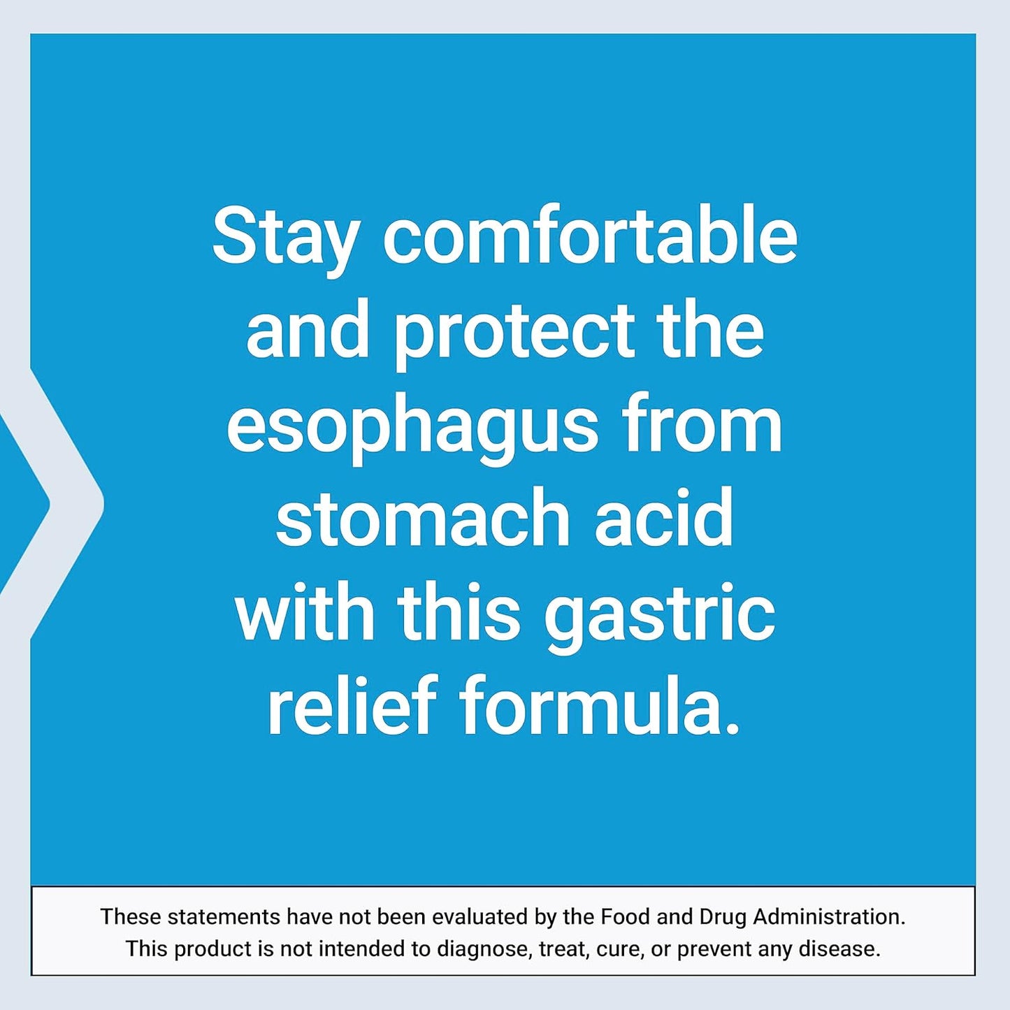 Vegetarian Esophageal Guardian with Alginic Acid & Potassium Bicarbonate for Gastric Relief - 60 Chewable Tablets, Non-GMO & Gluten-Free