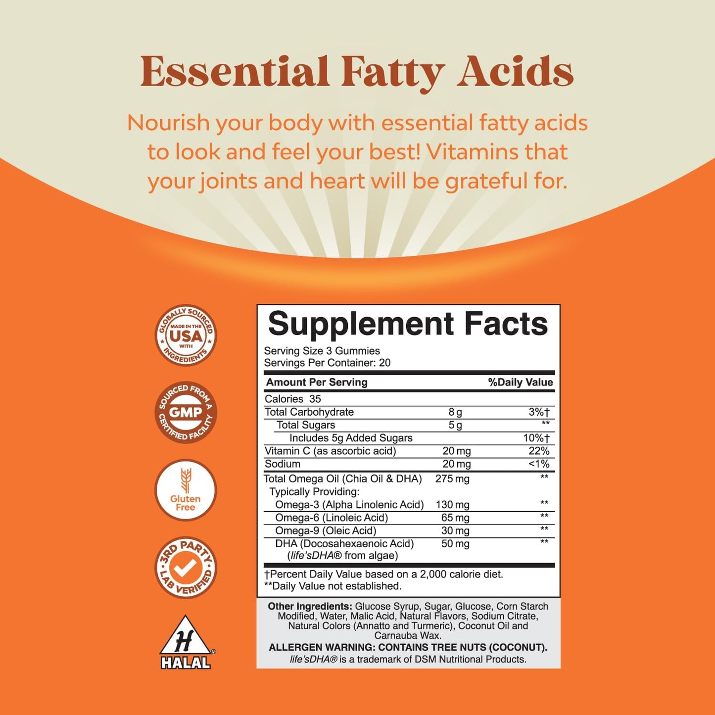 Vegetarian Multivitamin Gummy Bundle with Vitamin D, C, E, B12, Zinc, Biotin, and Omega 3 for Adults - Brain and Wellness Support