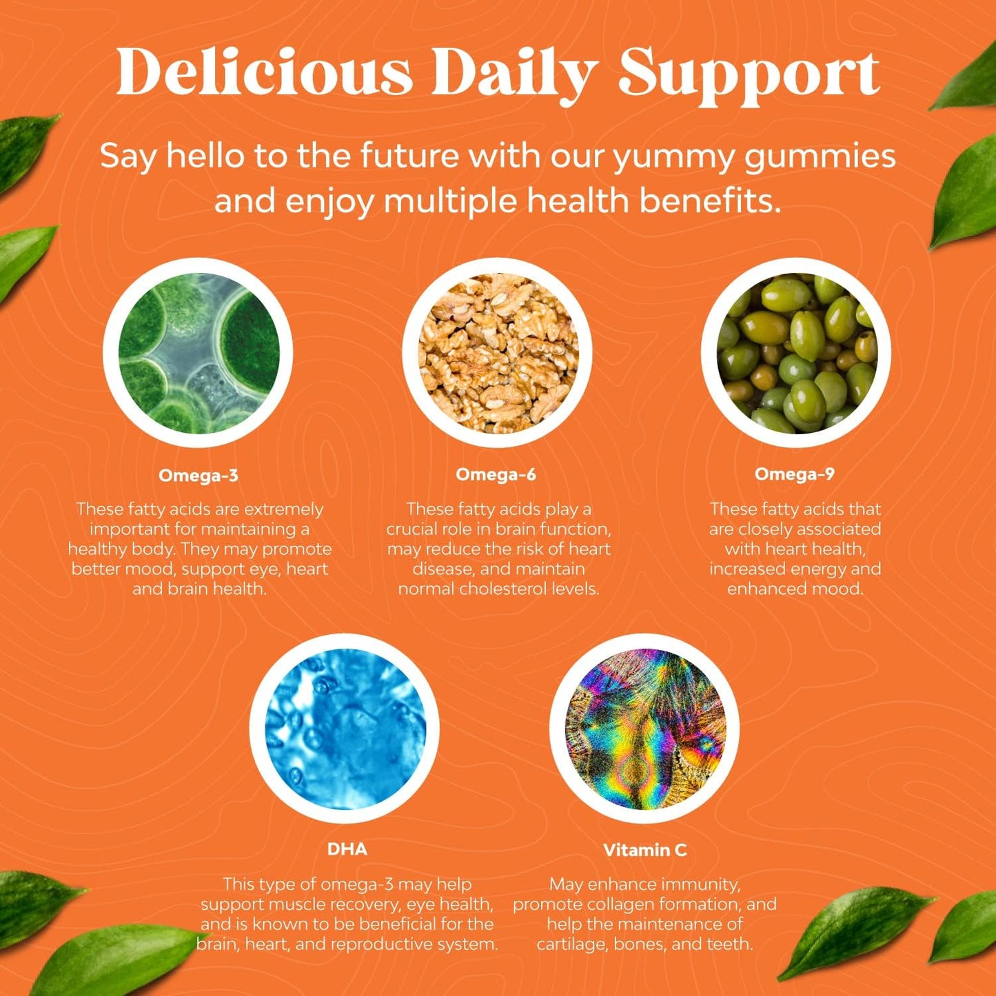 Vegetarian Multivitamin Gummy Bundle with Vitamin D, C, E, B12, Zinc, Biotin, and Omega 3 for Adults - Brain and Wellness Support