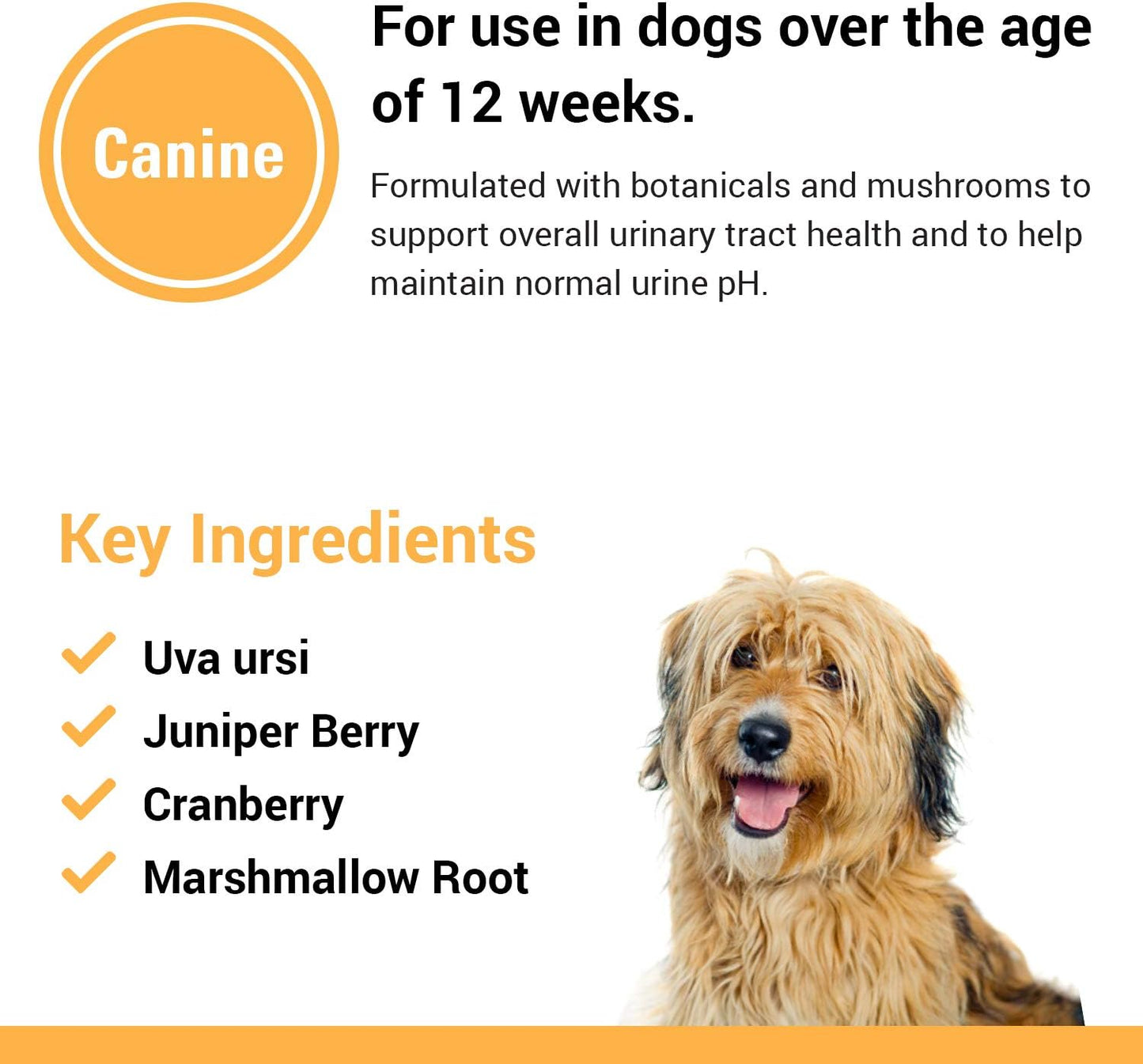 Vet Classics Urinary Tract Support Dog Supplement with Cranberry - Pet Incontinence Relief - Chewable Tablets 120 Ct.