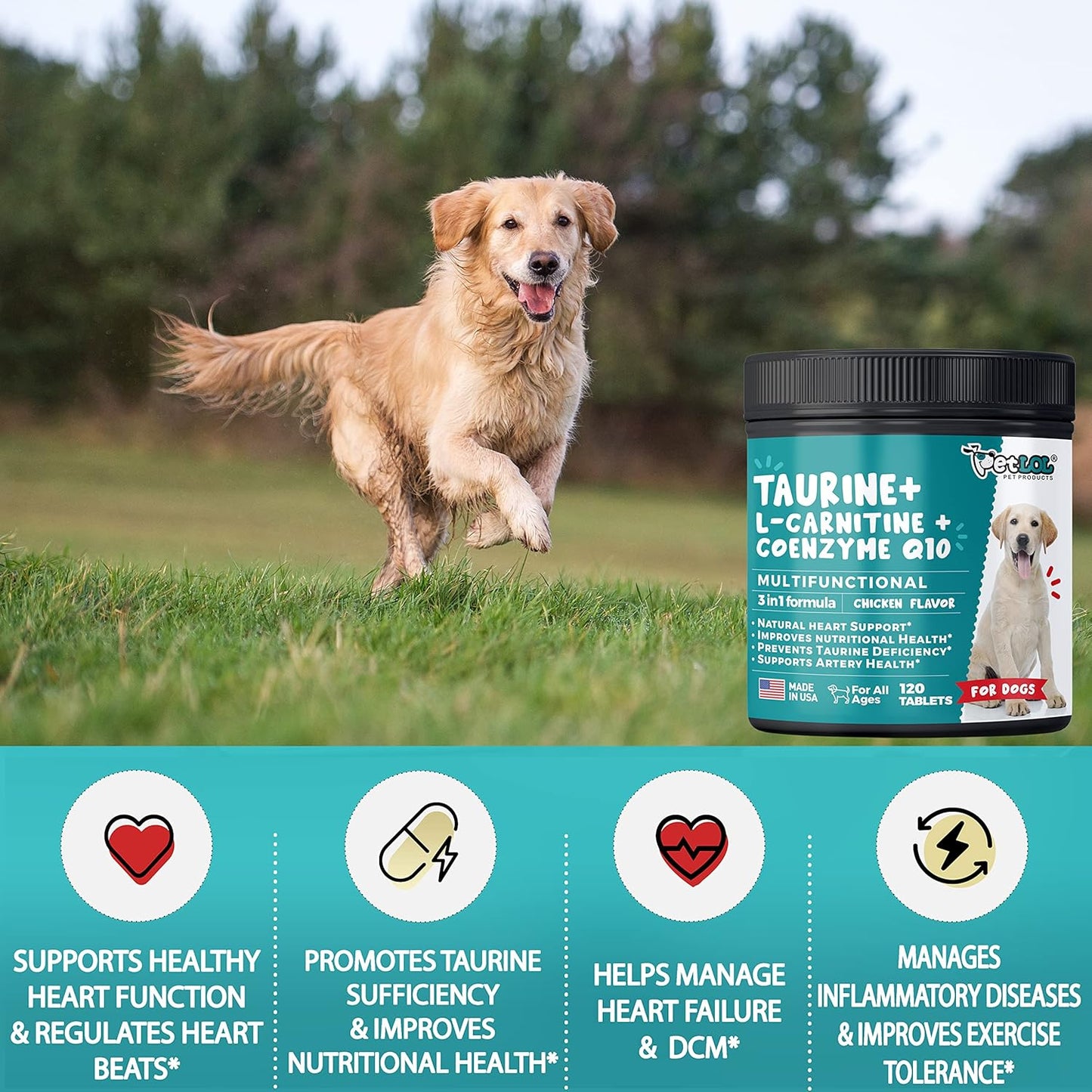 Vet-Endorsed Pet LOL Taurine Supplement for Dogs with L-Carnitine and CoQ10 - 3-in-1 Heart Health Support - 120ct