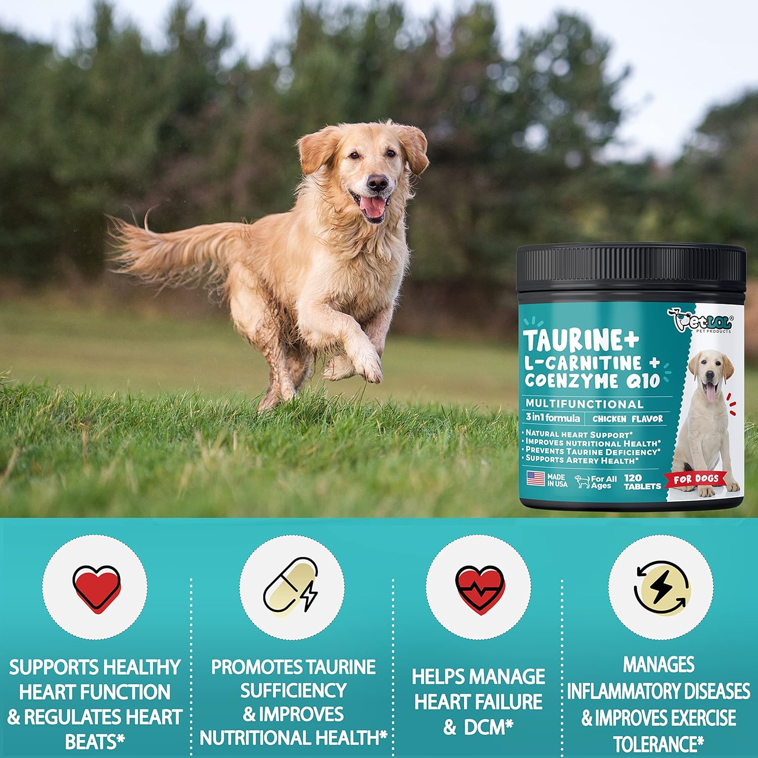 Vet-Endorsed Pet LOL Taurine Supplement for Dogs with L-Carnitine and CoQ10 - 3-in-1 Heart Health Support - 120ct