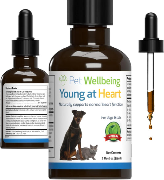 Veterinarian-Formulated Herbal Supplement for Cats - Supports Heart Health, Circulatory System with Hawthorn, Motherwort, Schisandra - 2 fl oz