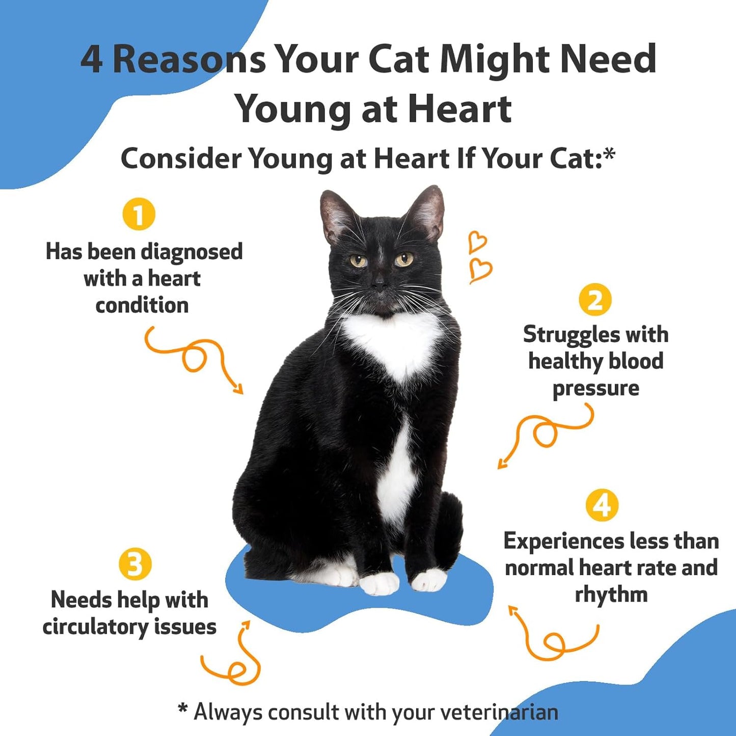 Veterinarian-Formulated Herbal Supplement for Cats - Supports Heart Health, Circulatory System with Hawthorn, Motherwort, Schisandra - 2 fl oz