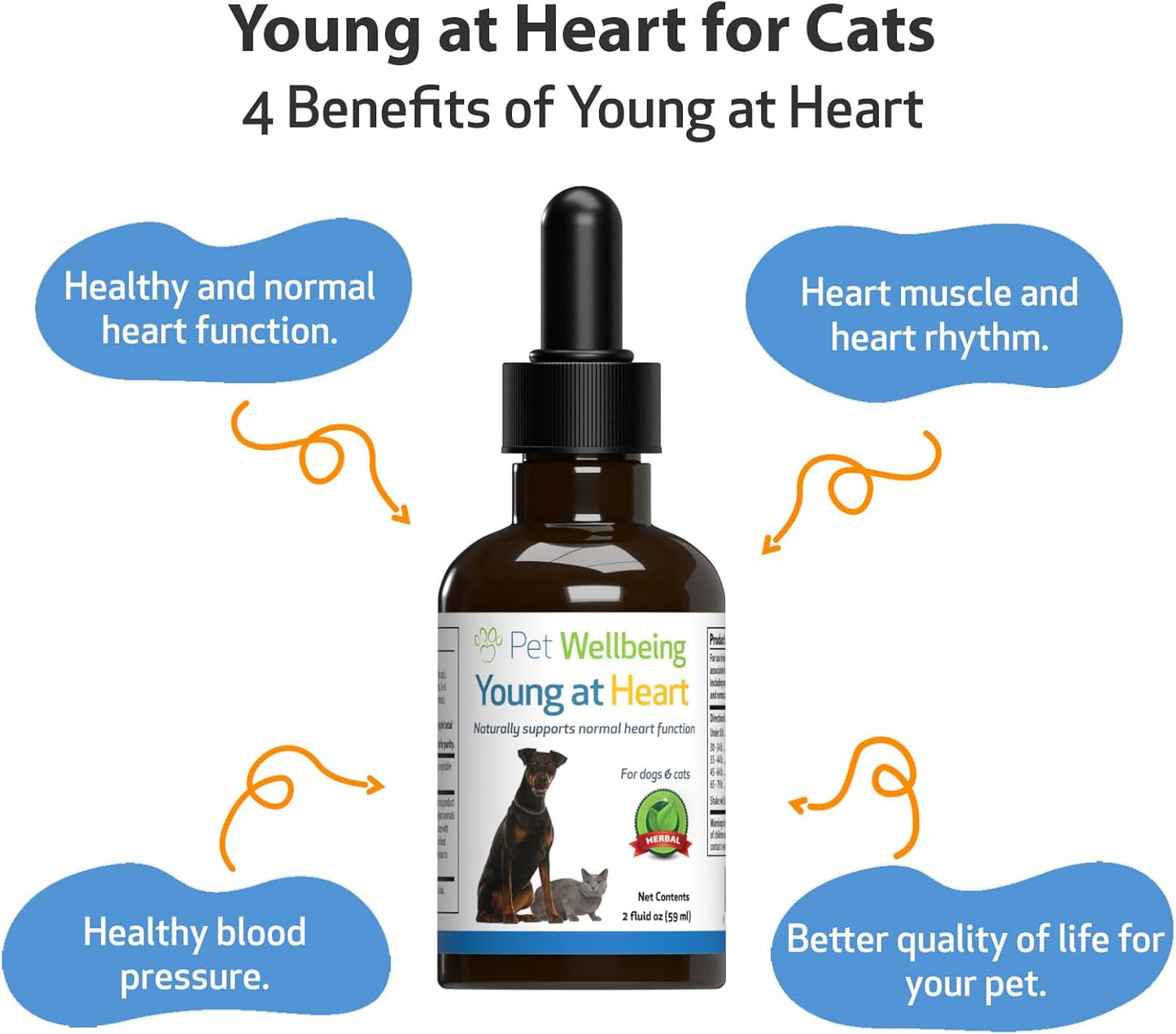 Veterinarian-Formulated Herbal Supplement for Cats - Supports Heart Health, Circulatory System with Hawthorn, Motherwort, Schisandra - 2 fl oz
