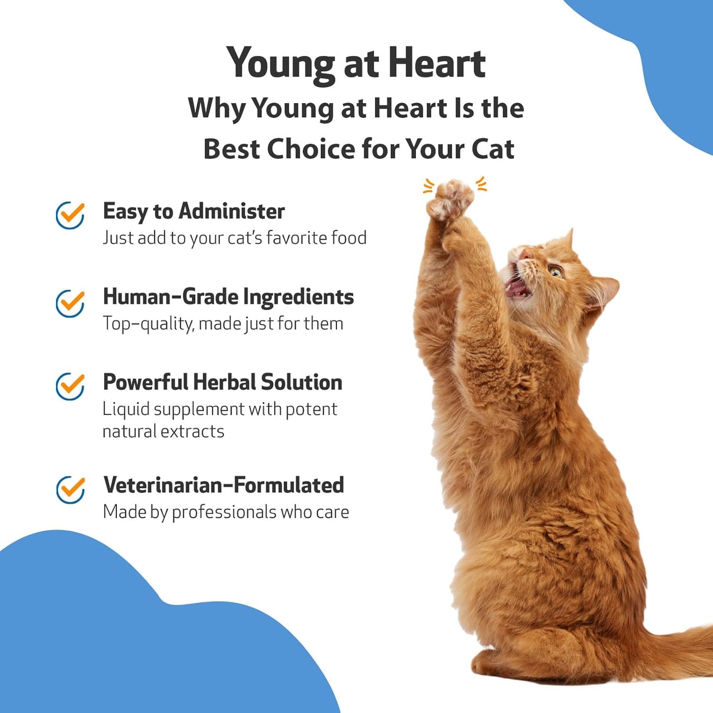Veterinarian-Formulated Herbal Supplement for Cats - Supports Heart Health, Circulatory System with Hawthorn, Motherwort, Schisandra - 2 fl oz