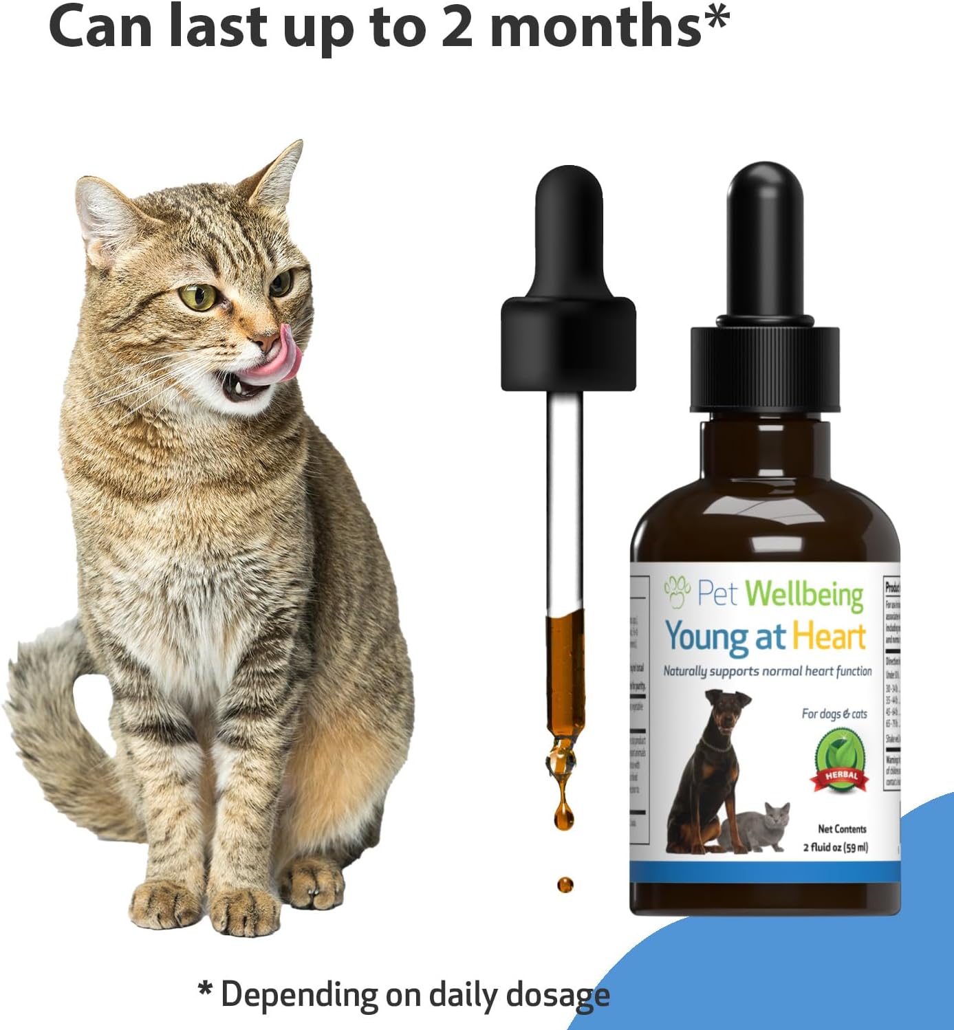 Veterinarian-Formulated Herbal Supplement for Cats - Supports Heart Health, Circulatory System with Hawthorn, Motherwort, Schisandra - 2 fl oz