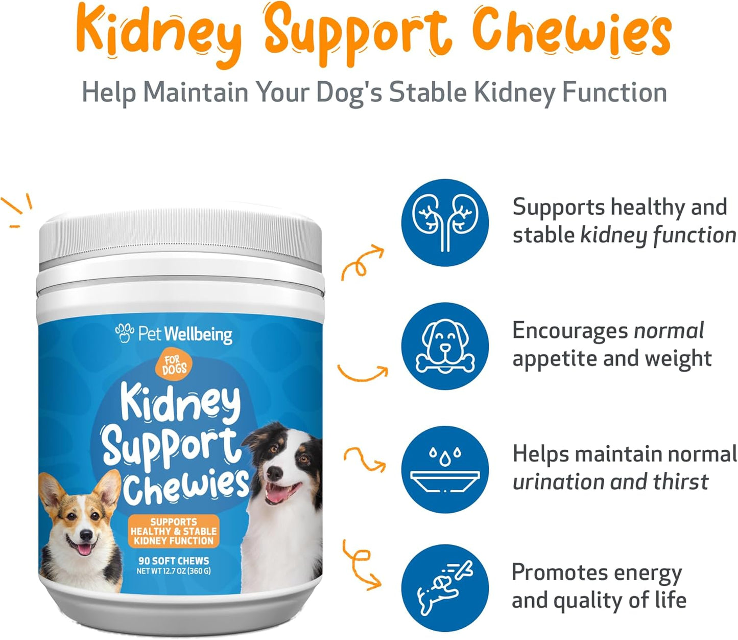 Veterinarian-Formulated Pet Wellbeing Kidney Support Soft Chews for Dogs - Promotes Healthy Kidney Function & Energy - Rehmannia, Astragalus - 90 Chewies
