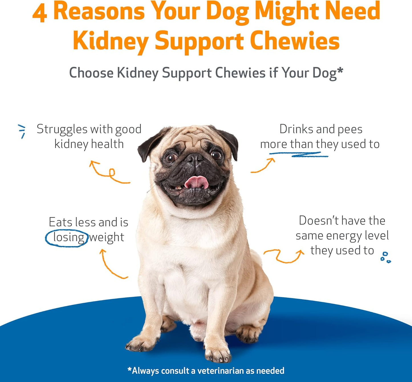 Veterinarian-Formulated Pet Wellbeing Kidney Support Soft Chews for Dogs - Promotes Healthy Kidney Function & Energy - Rehmannia, Astragalus - 90 Chewies