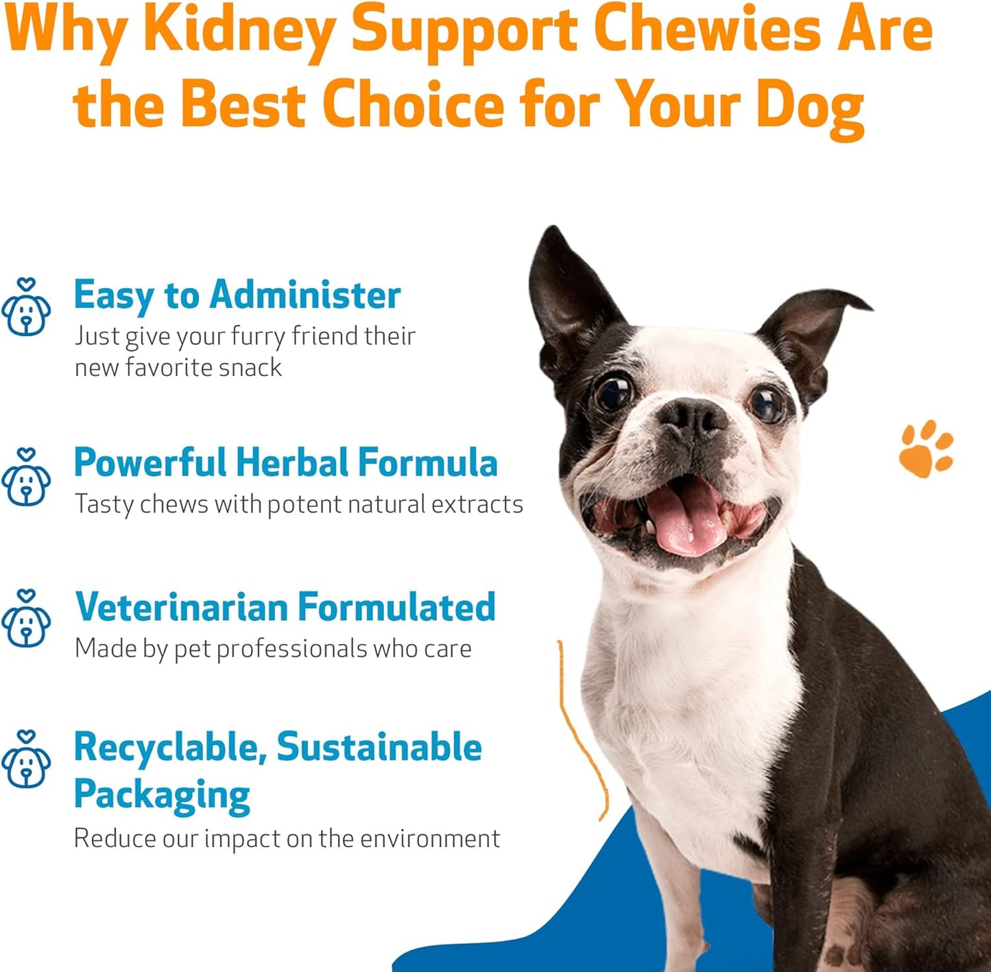 Veterinarian-Formulated Pet Wellbeing Kidney Support Soft Chews for Dogs - Promotes Healthy Kidney Function & Energy - Rehmannia, Astragalus - 90 Chewies