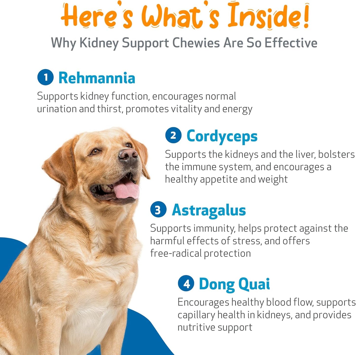 Veterinarian-Formulated Pet Wellbeing Kidney Support Soft Chews for Dogs - Promotes Healthy Kidney Function & Energy - Rehmannia, Astragalus - 90 Chewies